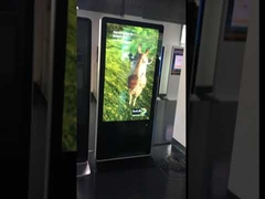 メガネ不要デジタルサイネージ